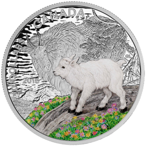 2015 – $20 1 oz. fine silver colored coin – baby animals : mountain goat