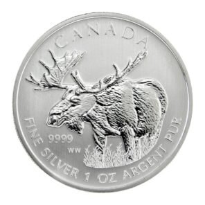 2012 1 oz moose canadian silver coin